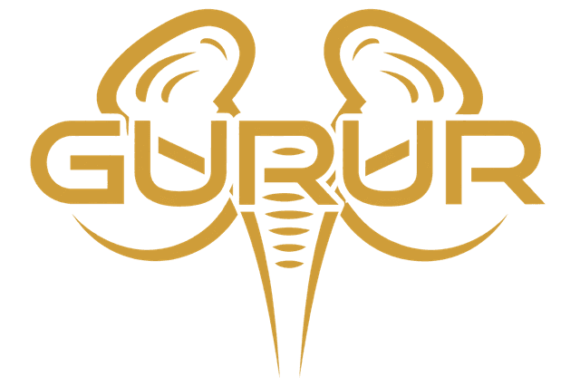 Gurur Consultancy