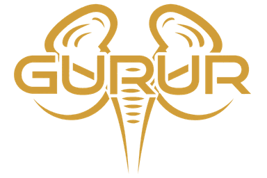 Gurur Consultancy